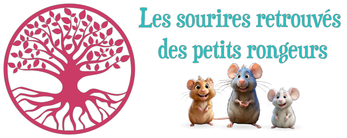 baniere